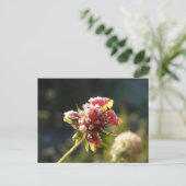 Een ijzige bloem briefkaart (Staand voorkant)