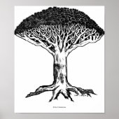 Een Ill Wind Blows | Dragon Blood Tree Poster (Voorkant)