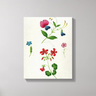 Een illustratie uit 'A New Treatise on Flower Pai' Canvas Afdruk