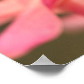 Een imitator van de monarchvlinder poster (Hoek)