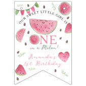 Een in een meloen Schattige Watermelon Meisje 1e V Vlaggetjes (Tweede vlag)