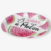 Een in een meloen verjaardagsfeestje papieren bordje (Gekanteld)