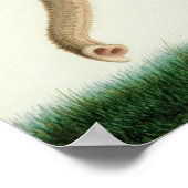 Een Indiaanse olifant van Nicolas Huet de jongste Poster (Hoek)