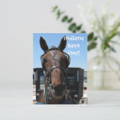 Een Indiana. Briefkaart (Staand voorkant)