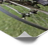 EEN INTIEME PORTRAIT VAN DE TOUR VAN FRANKRIJK VAN POSTER (Hoek)