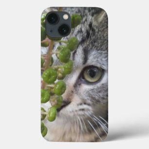 Een iPad mini-draagtas voor Kitten EYE-Phone iPhone 13 Hoesje