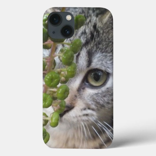 Een iPad mini-draagtas voor Kitten EYE-Phone Case-Mate iPhone Case (Achterkant)