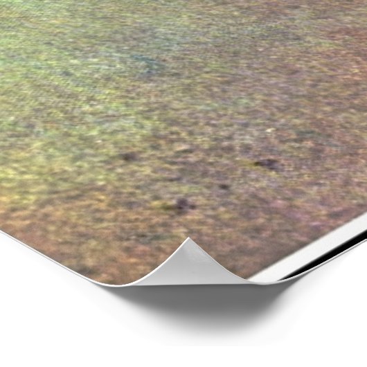 Een Italiaanse tuin van Maxfield Parrish Poster (Hoek)