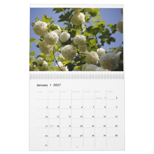 een jaar bloemen kalender (Jan 2027)