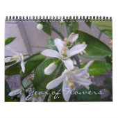 Een jaar bloemen kalender (Hoes)