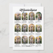 "Een jaar in de Review" Retro Hondenliefhebbers Fo Feestdagenkaart (Achterkant)