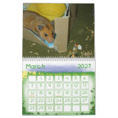 Een jaar in Hamsters 2010 Kalender (Mar 2027)