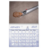 Een jaar in Hamsters 2010 Kalender (Jan 2027)