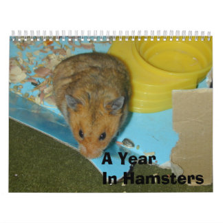 Een jaar in Hamsters 2010 Kalender
