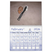 Een jaar in Hamsters 2010 Kalender (Feb 2026)