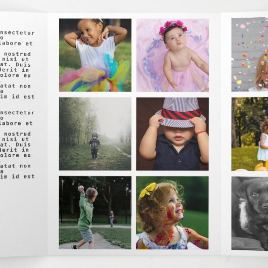 Een jaar in Review Holiday Foto Collage Drieluik Wenskaart (Binnenkant midden)