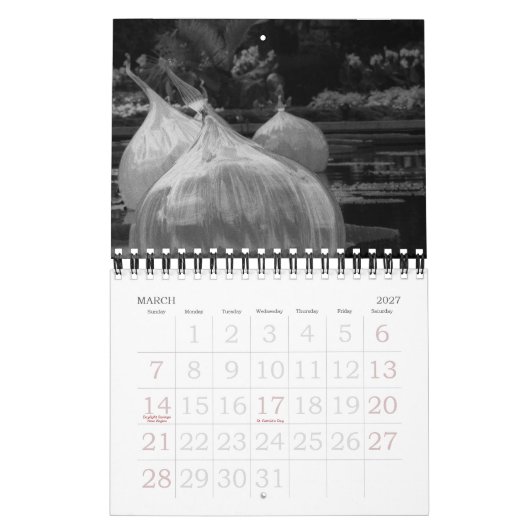 Een jaar in zwarte en witte fotografie kalender (Mar 2027)