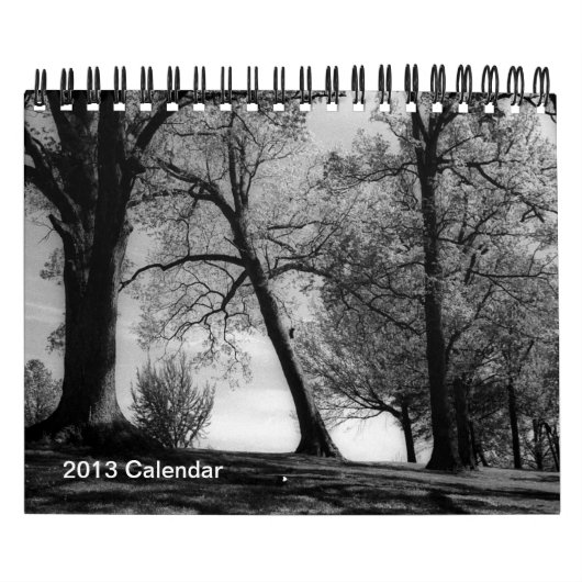 Een jaar in zwarte en witte fotografie kalender (Hoes)