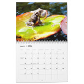 Een jaar kikkerkalender kalender (Mar 2026)