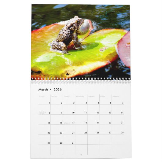 Een jaar kikkerkalender kalender (Mar 2026)