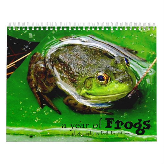 Een jaar kikkerkalender kalender (Hoes)