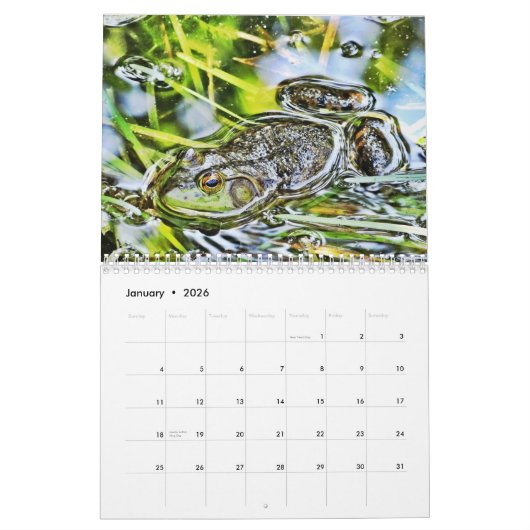 Een jaar kikkerkalender kalender (Jan 2026)