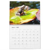 Een jaar kikkerkalender kalender (Mar 2027)