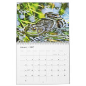 Een jaar kikkerkalender kalender (Jan 2027)