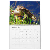 Een jaar kikkerkalender kalender (Feb 2027)
