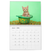 Een jaar Kittens-agenda Kalender (Mar 2026)