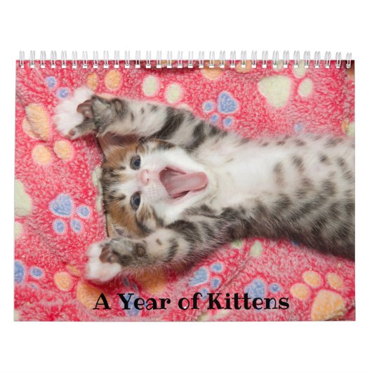 Een jaar Kittens-agenda Kalender (Hoes)