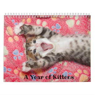 Een jaar Kittens-agenda Kalender