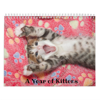 Een jaar Kittens-agenda Kalender