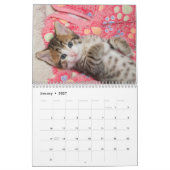 Een jaar Kittens-agenda Kalender (Jan 2027)