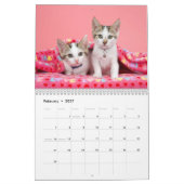 Een jaar Kittens-agenda Kalender (Feb 2027)