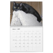 Een jaar kitty katten kalender (Mar 2027)