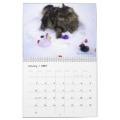 Een jaar kitty katten kalender (Jan 2027)
