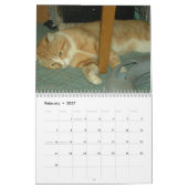 Een jaar kitty katten kalender (Feb 2027)