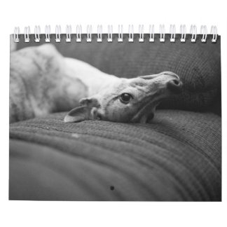 Een jaar lang Enzo Kalender