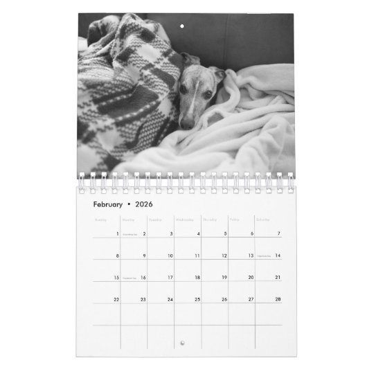 Een jaar lang Enzo Kalender (Feb 2026)