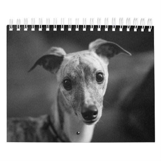 Een jaar lang Enzo Kalender (Hoes)