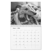 Een jaar lang Enzo Kalender (Mar 2026)