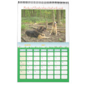 Een jaar met Chumley 2010 Wall Calendar Kalender (Mar 2027)