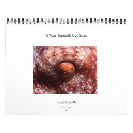 Een jaar onder onze Zeeen - Agenda 2009 Kalender (Hoes)