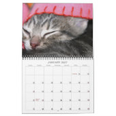 Een jaar spuitbussen kalender (Jan 2027)