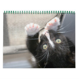 Een jaar spuitbussen kalender