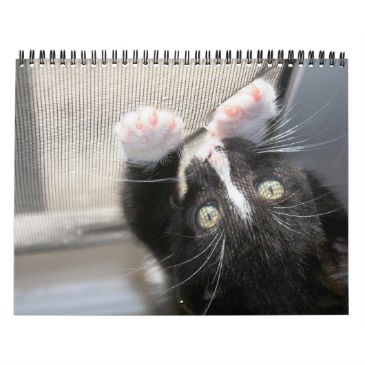 Een jaar spuitbussen kalender (Hoes)