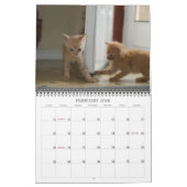 Een jaar spuitbussen kalender (Feb 2026)