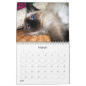 Een jaar spuitbussen kalender (Mar 2027)