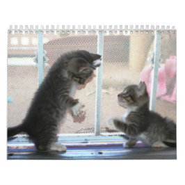 Een jaar spuitbussen kalender